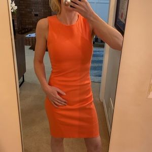 NEW! Aritzia⭐️Babaton Coral Miguel dress❤️